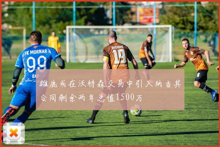 雄鹿或在沃特森交易中引入纳吉其合同剩余两年总值1500万