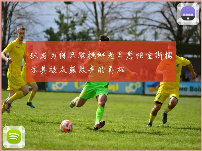 狄龙为何只敢挑衅老年詹帕金斯揭示其被灰熊放弃的真相